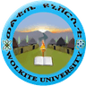 Wolkite University Ict Incubation Center